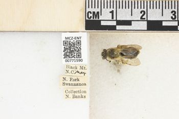 Media type: image;   Entomology 771590 Aspect: Labels